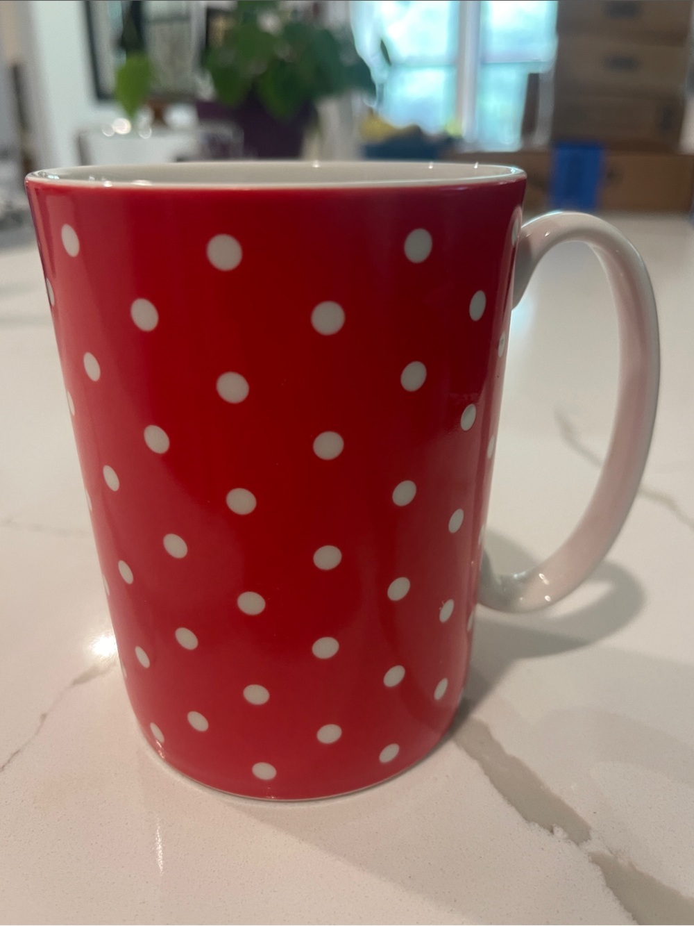 kate spade New York Larabee Dot Ceramic Mug by Lenox
